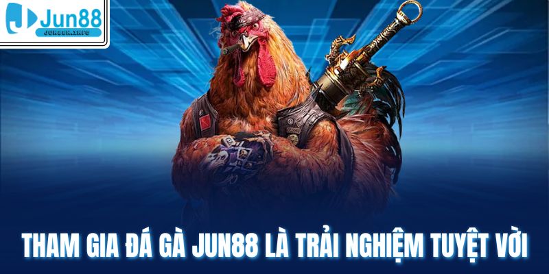 Tham gia đá gà Jun88 là trải nghiệm tuyệt vời